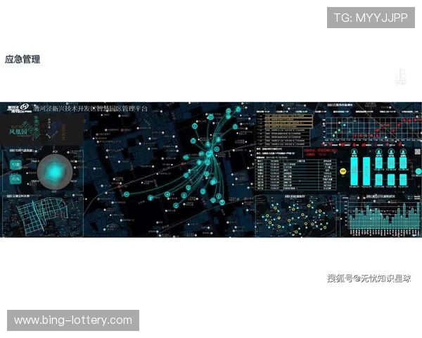 Matomo实时数据监测助力网站访客行为深度分析